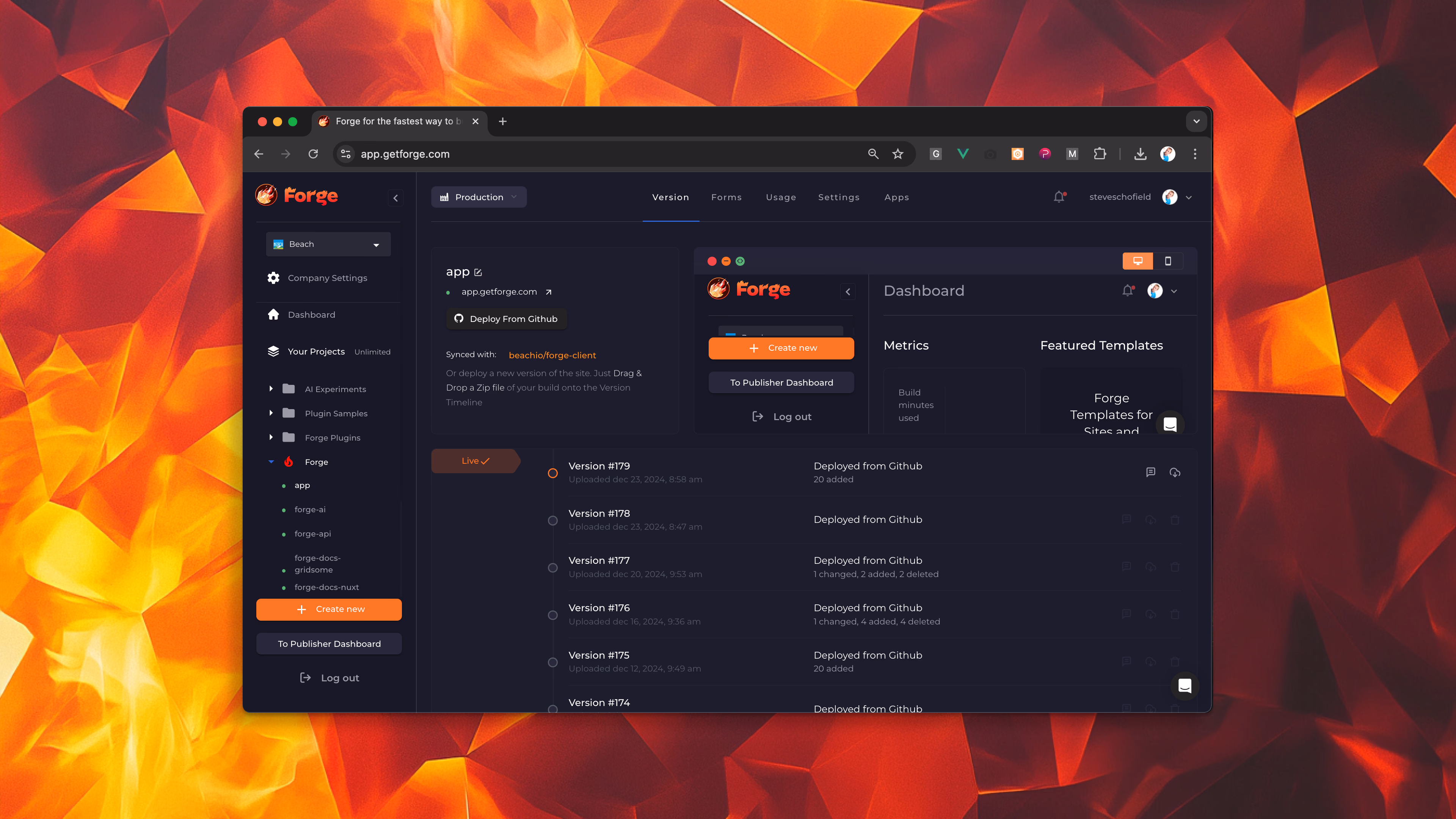 Forge deployment view