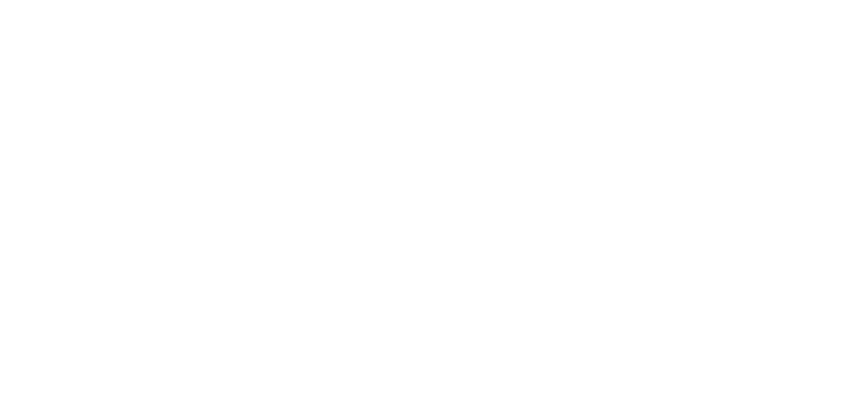 Stripe link