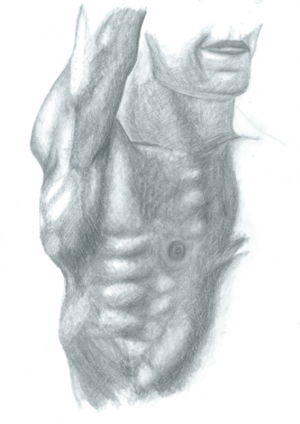 study-of-mans-chest