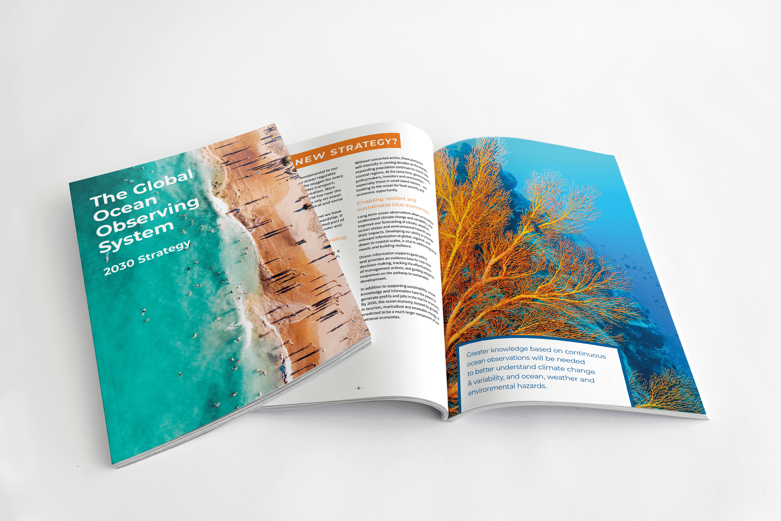 goos-strategy-booklet