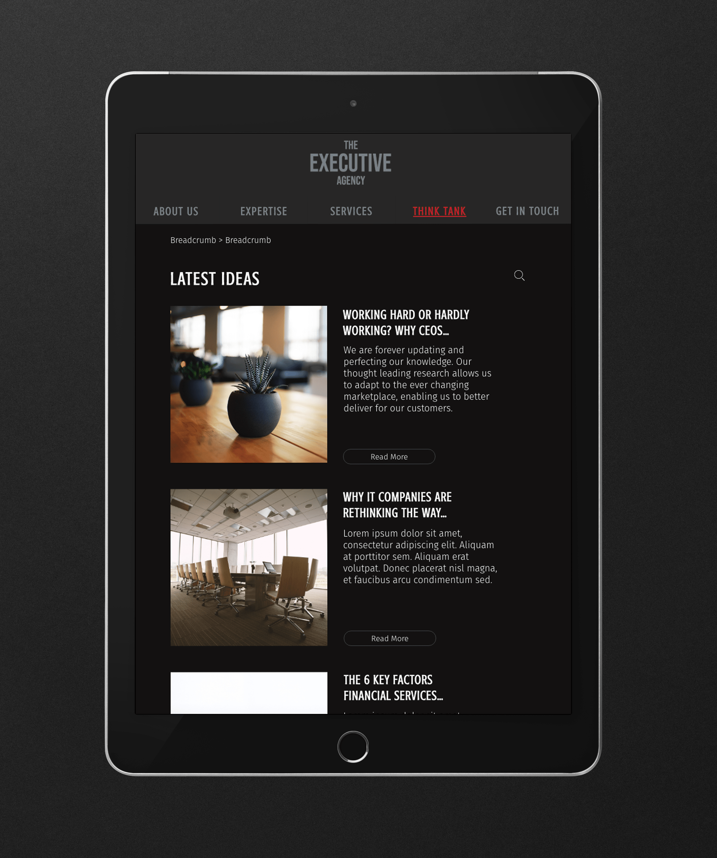 the-executive-agency