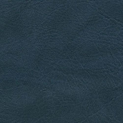 Picture of federal blue color