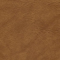 Picture of nugget color