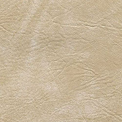 Picture of oyster color