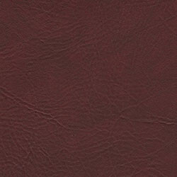 Picture of port color