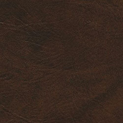 Picture of Walnut color
